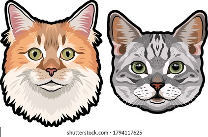 Realistic heads of domestic cats vector illustration