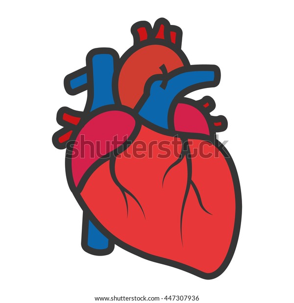Realistic Heart Icon Isolated On White Stock Vector Royalty Free