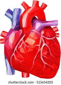 Realistic Heart In Low Poly