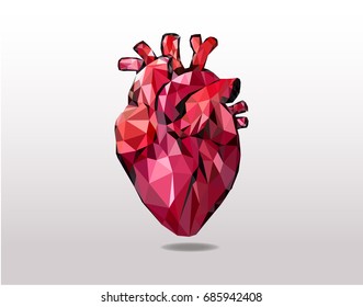 Corazón realista, arte de polos bajos.