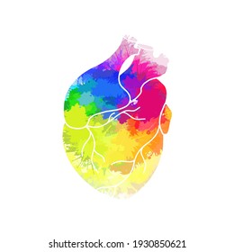 Realistic heart with rainbow watercolor splashes. Lgbt love. Openness to different love. Organ anatomy. Vector illustration for postcards, banners and your creativity.