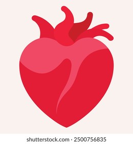 Corazón realista en fondo blanco. arte e ilustrador. corazón humano rojo. diseño de Vector.