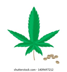 Realistic hemp seeds with leaf isolated on white background. Marijuana bunch. Cannabis pile. Vector illustration.