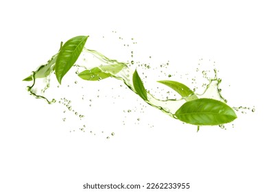 Realistic herbal tea splash, green tea leaves and water drops. Vector 3d fresh plant, organic drink explosion motion with splatters. Mint foliage in transparent aqua, natural aromatic beverage ads