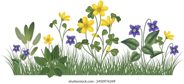 Realistic herbs composition background with blooming flowers