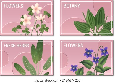 Realistic herbs horizontal cards set collection 