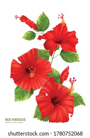 Realistic hibiscus composition with editable text and isolated image of flowers blossom with leaves and stems vector illustration