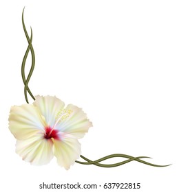 Realistic hibiscus frame, corner.