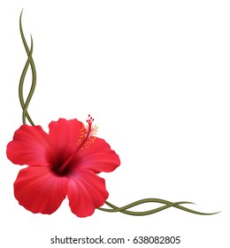 Realistic hibiscus frame, corner.