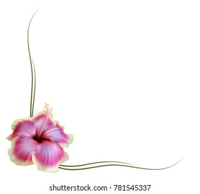 Realistic hibiscus frame, corner.
