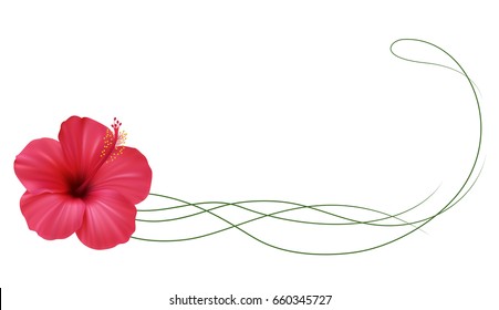Realistic hibiscus frame, footer.