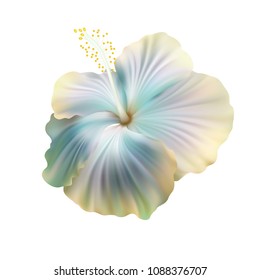 Realistic hibiscus. The symbol of rare elegant beauty.