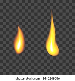 Realistic high detailed vector fire