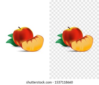 realistic high quality peach vector illustration