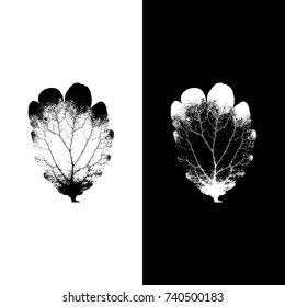 Realistic highly detailed leaf isolated