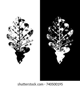 Realistic highly detailed leaf isolated