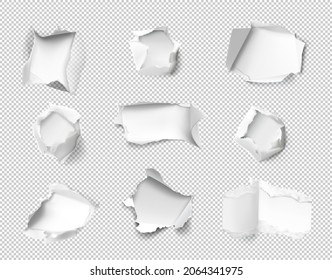 Realistic holes in paper isolated on transparent background. Vector illustration element ready for your design. EPS10.	