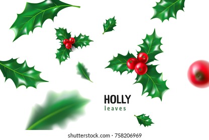 Realistic holly, ilex with berry and leaves, mistletoe set. Christmas, new year holiday celebration symbol, decorations. 3d realistic vector illustration isolated on white background.