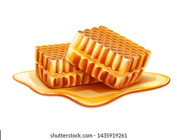 Realistic honeycomb slices with liquid honey around. Golden honey sticky syrup from cells of honeycomb piece. Natural healthy product package design. Vector illustration