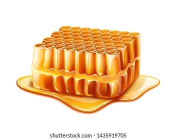 Realistic honeycomb slices with liquid honey around. Golden honey sticky syrup from cells of honeycomb piece. Natural healthy product package design. Vector illustration