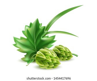 Realistic hop cones with green leaves. Traditional alcohol drinkg package decoration design. Brewery brand logo vector design. Home brew beer herb.