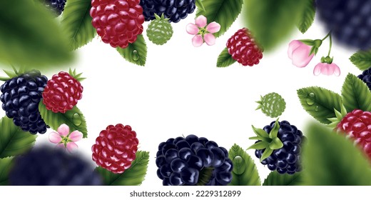 Marco de mora negra horizontal realista con hojas de flores y elementos borrosos en ilustración vectorial de fondo blanco