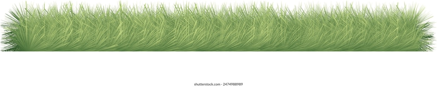 Realistic horizontal lawn clipart. Green single row of detailed yard vegetation. Three-dimensional vector art of grass.