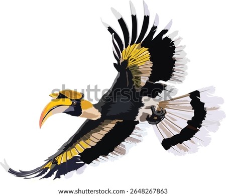 Realistic hornbill drawing vector illustration and isolated