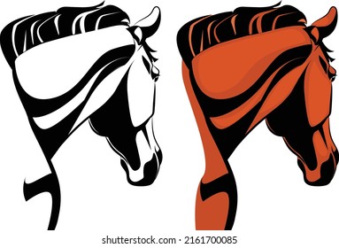 Realistic horse Head illustration sketch and color