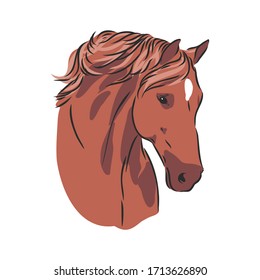 realistic horse portrait vector illustration, horse portrait, horse head, vector illustration