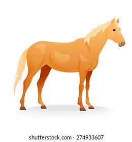 Realistic horse with red coat. Vector illustration