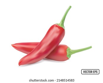 Realistic hot chili peppers are isolated on white background. Vector EPS