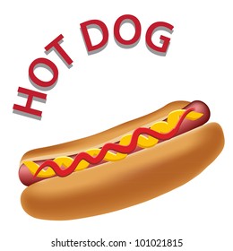 Realistic hot dog vector illustration