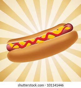 Realistic hot dog vector illustration