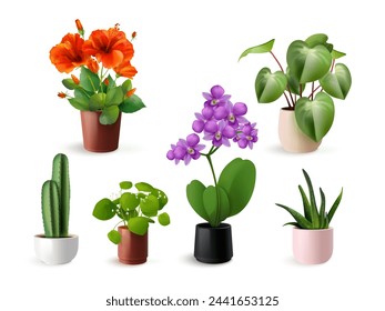 Realistic house flowers. Houseplants in vase pot, home flower garden plant orchid hibiscus flowerpot interior decoration domestic green nature plants, set exact vector illustration of flower pot