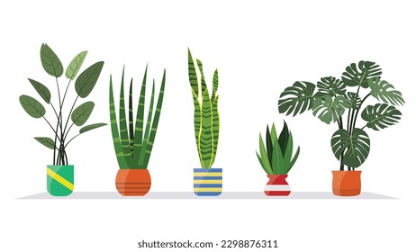 Realistic house indoor plants pot bringing nature inside with style