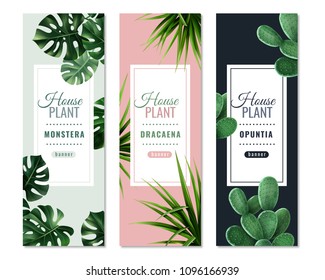 Realistic house plants vertical banners with monstera, dragon tree and prickly pear isolated vector illustration