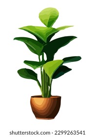 Realistic house plat with monstera sansevieria banana palm ficus and rhopalostylis in pot on transparent background.