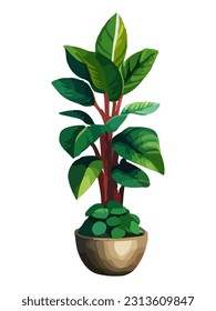 Realistic house plat with monstera sansevieria banana palm ficus and rhopalostylis in pot on transparent background.