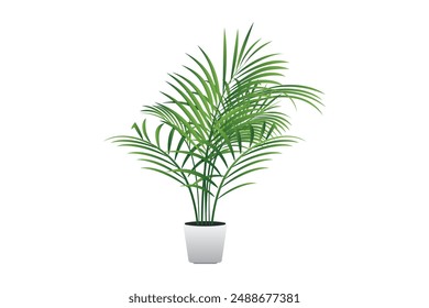 Realistic house plats rhopalostylis in pots on white background isolated vector illustration.