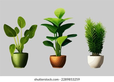 Realistic house plats set with monstera sansevieria banana palm ficus and rhopalostylis in pots on transparent background isolated