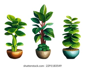 Realistic house plats set with monstera sansevieria banana palm ficus and rhopalostylis in pots on transparent background