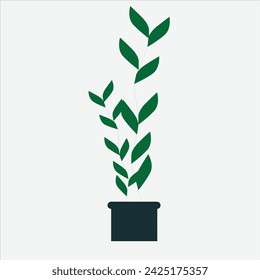 Realistic house plats set with plant transparent background isolated vector illustration