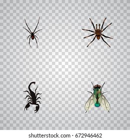 Realistic Housefly, Spinner, Poisonous And Other Vector Elements. Set Of Insect Realistic Symbols Also Includes Insect, Arachnid, Spinner Objects.