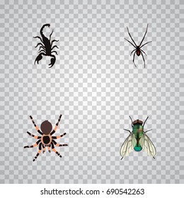 Realistic Housefly, Tarantula, Spinner And Other Vector Elements. Set Of Insect Realistic Symbols Also Includes Wasp, Spider, Poisonous Objects.