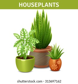  Realistic houseplants composition with green plants pots and ground vector illustration 