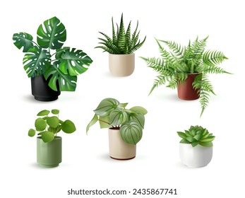 Plantas de interior realistas. Planta de casa en maceta de cerámica, planta de flor interior de la casa de la decoración de la maceta de helecho, árbol doméstico monstera suculento ilustración vectorial aislada exacta