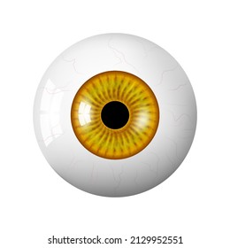 Realistic Human Brown Eyeball. The Retina Is The Foreground. Vector 3d Illustration. Realistic 3d Vector Illustration Isolated On White Background