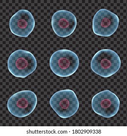 Realistic human cells set isolated on transparent background. 3d elements for science, medicine, biology poster, placard, flyer, presentation, etc
