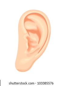 13,310 Realistic ears Images, Stock Photos & Vectors | Shutterstock